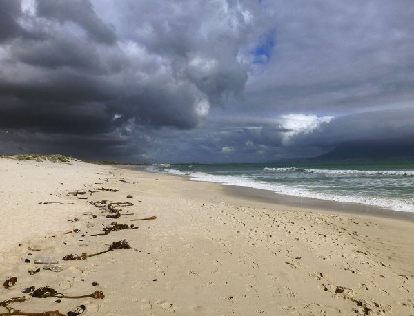 Пасмурный берег моря