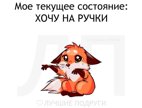Цитаты пошли все