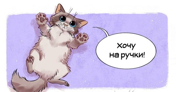 Настроение море
