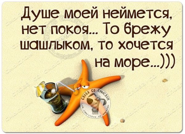 Хочу на море прикол