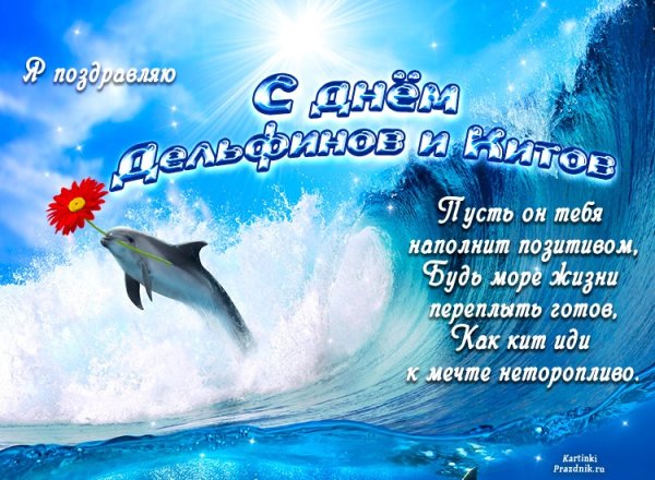 Поздравления с днем китов и дельфинов