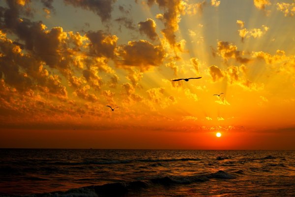 Красивое черное море