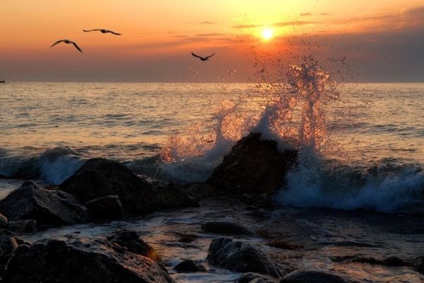 Море солнце