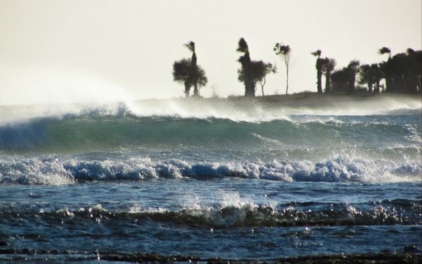 Ветер на море