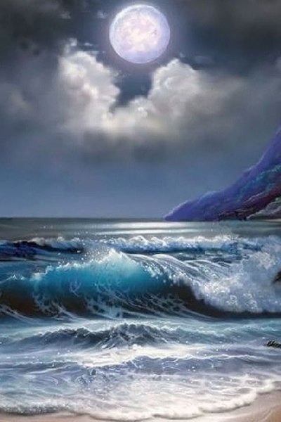 Ночная природа