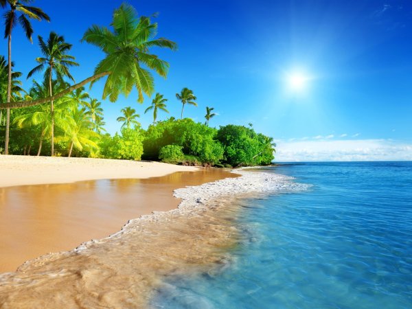 Пленка пляж обои