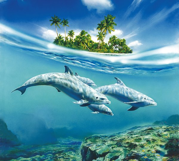 Остров Флорес Индонезия