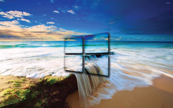 Морская звезда на дне океана