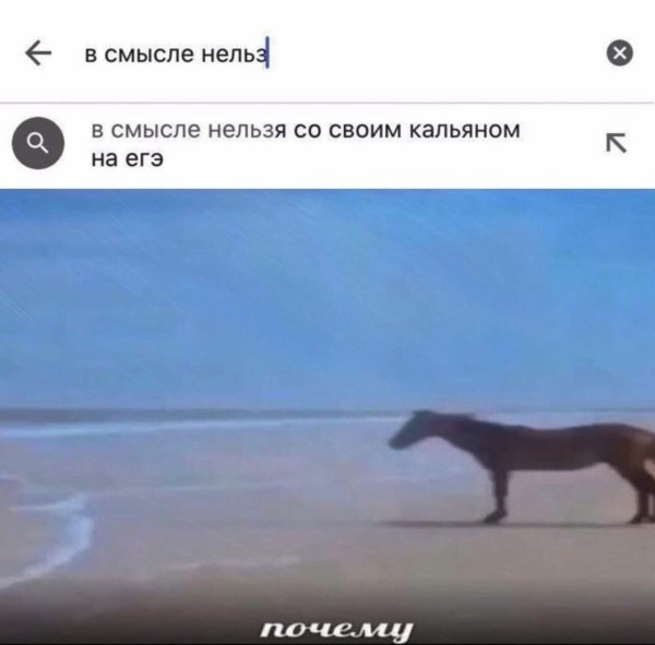 Зачем Мем с лошадью