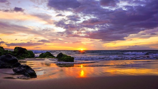 Море пальмы закат