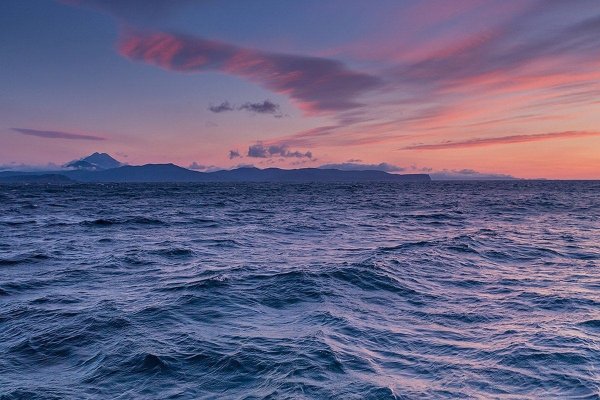 Куршская коса остров