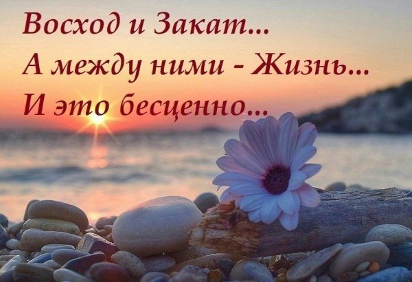 Рассвет закат между ними жизнь
