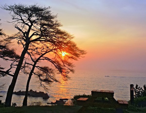 Новый день цитаты