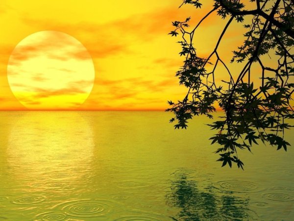 Цитаты про отпуск на море