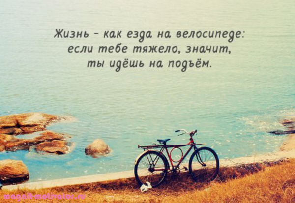 Позитивные высказывания