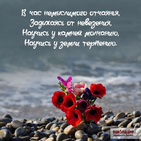 Поздравление с добрым утром душевные