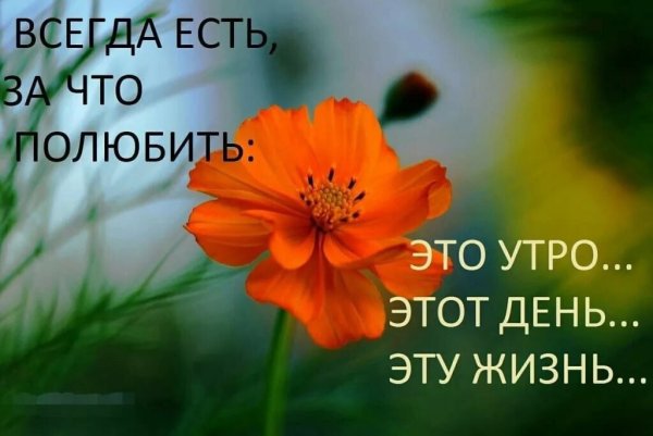 Чай кофе море