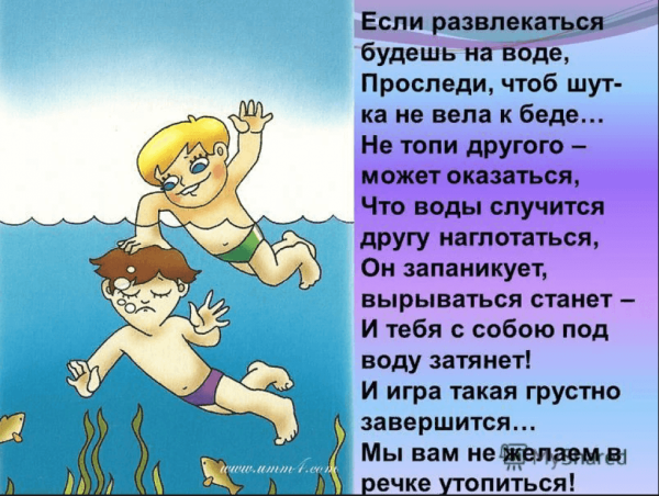 Мемы про дельфинов