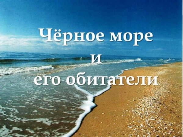 Черное море надпись