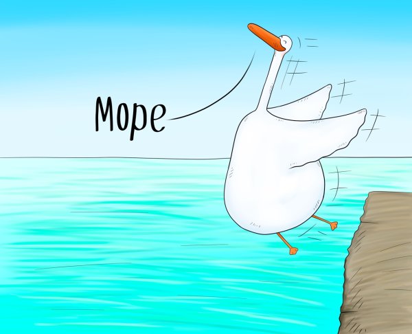 Отвезите меня на море