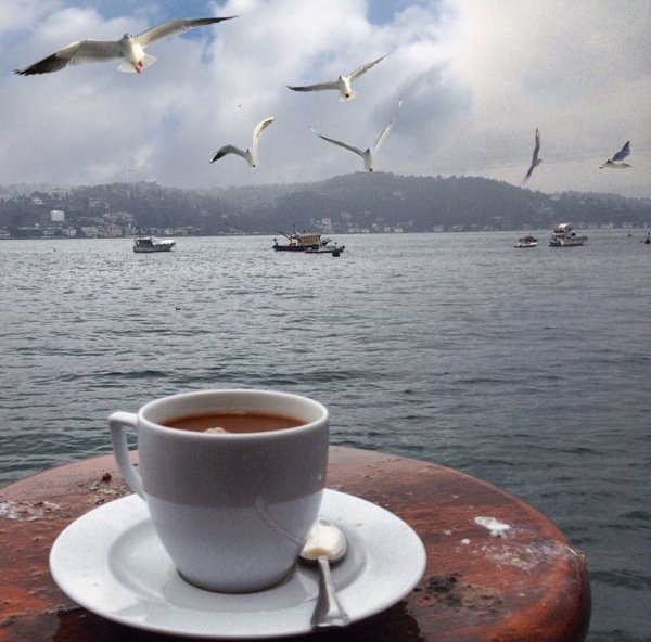 Море в кружке