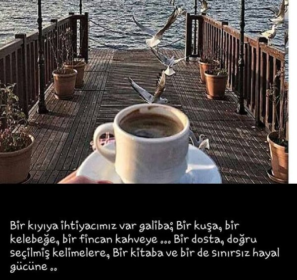 Девушка море кофе