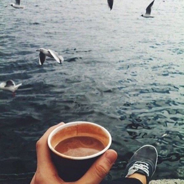 Кофе море цветы