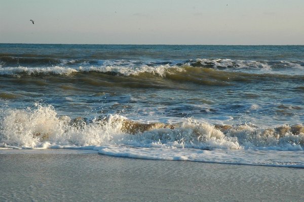 Волжанка Азовское море