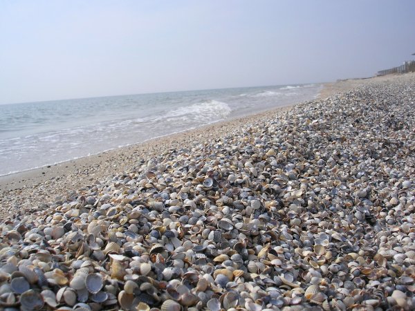 Азовское море Азов