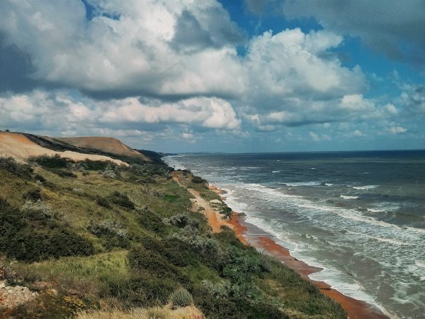 Ясенский залив Азовского моря