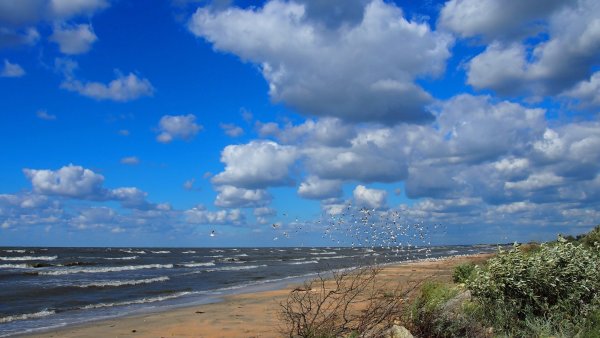 Азовское море Темрюк Голубицкая