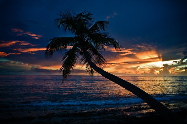 Природа море