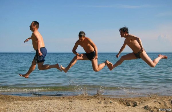 Море птицы девушка