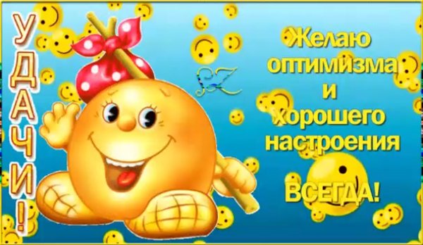 С добрым утром дельфины