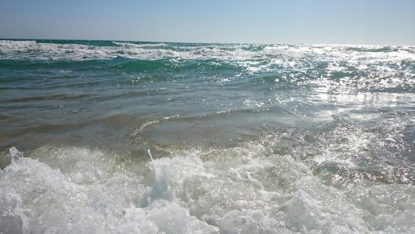 Черное море Витязево