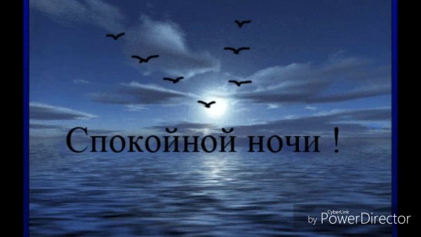 Спокойной ночи родной