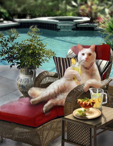 Цитаты про отдых