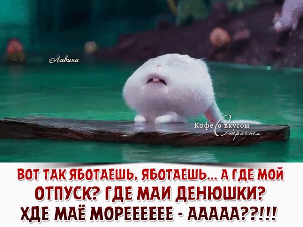 Анекдоты про отпуск в картинках