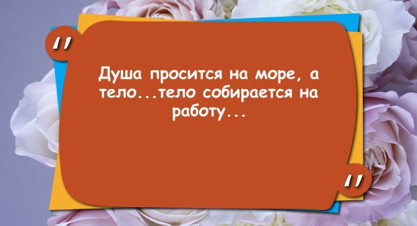 Душа просится на море а тело надевает белый халат картинки