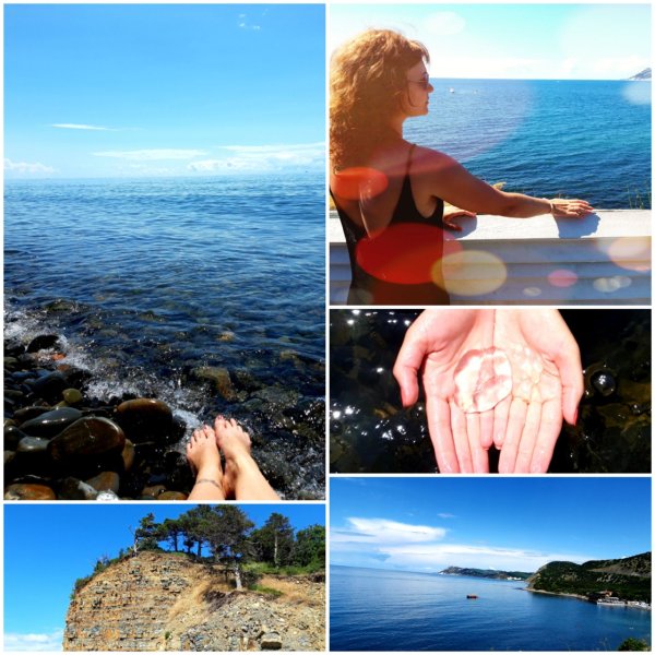 Морюшко кот