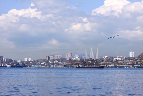 Город у моря Владивосток