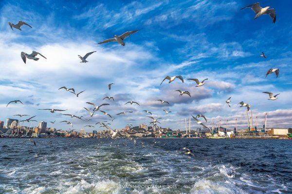 Владивосток море