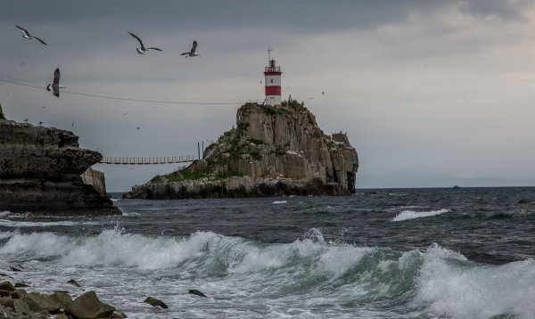 Золотой мост Приморский край