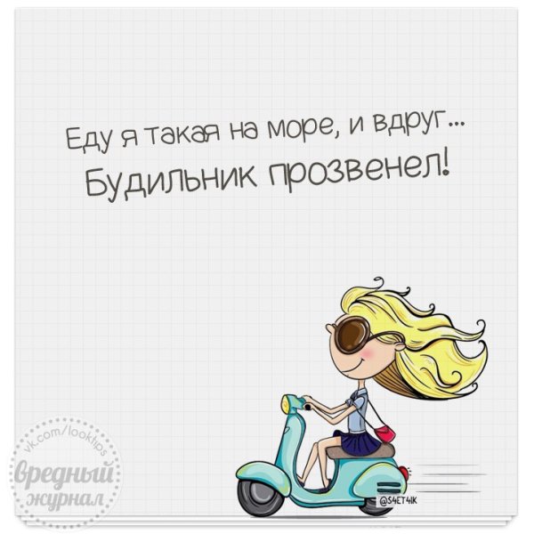 Кот смешно просыпается