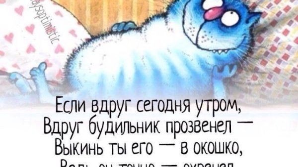 Еду я такая на море и вдруг будильник звенит