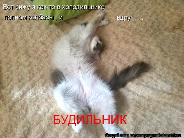 Доброе утро картинки 2022 смешные