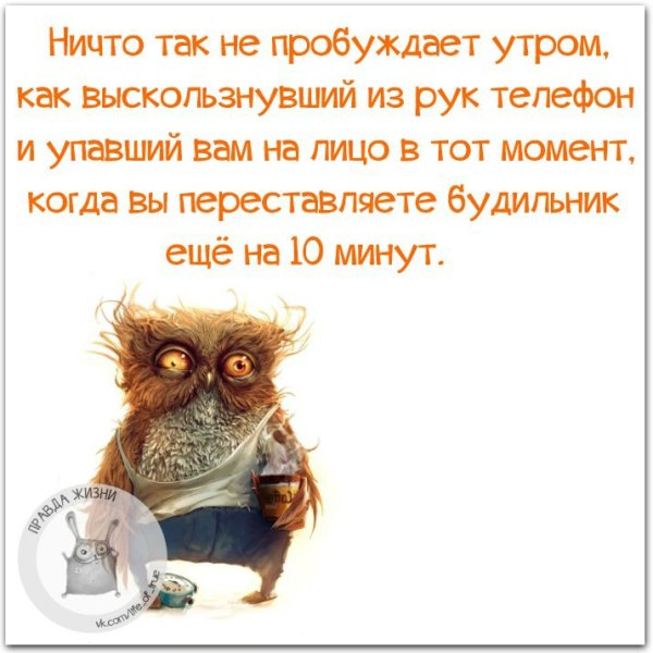 Доброе утро понедельника прикольные