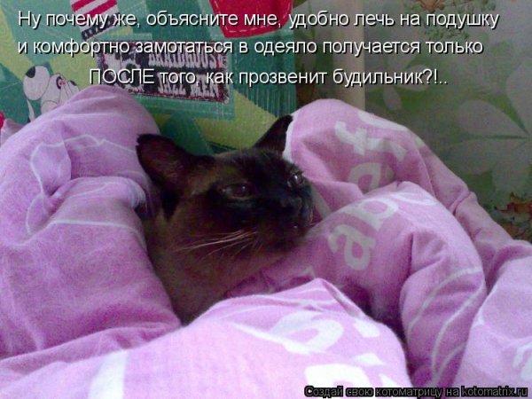 Утро понедельника на работе