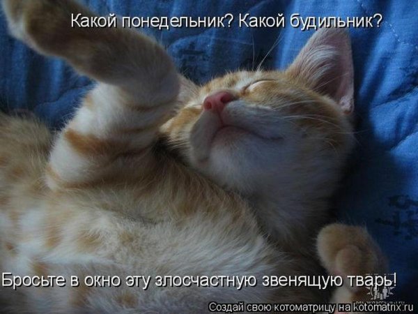 Доброе утро юмор