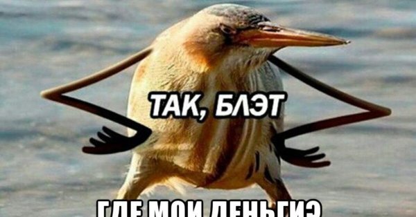 Утром надо спать